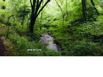 web-of-life.net snapshot