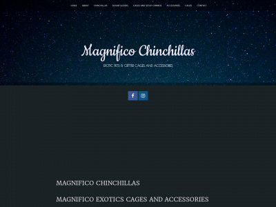 magnificochinchillas.com snapshot