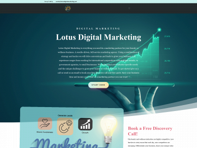 lotusdigitalmarketing.co snapshot