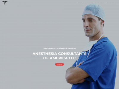 anesthesiaconsultantsllc.com snapshot
