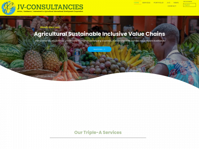jv-consultancies.com snapshot