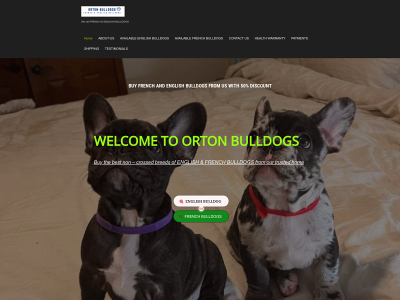 orton-bulldogs.store snapshot