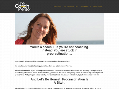 thecoachmentor.org snapshot