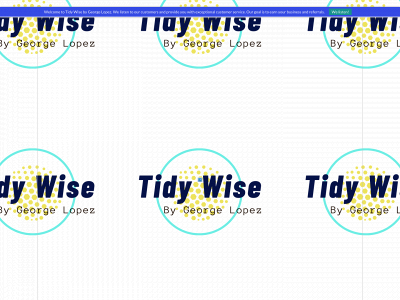 tidywise.net snapshot