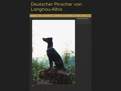 deutsche-pinscher-von-langnau-albis.ch snapshot