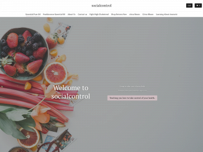 socialcontrol.site snapshot