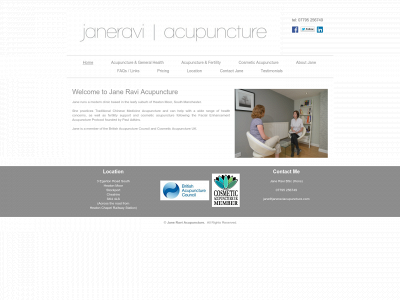 janeraviacupuncture.com snapshot