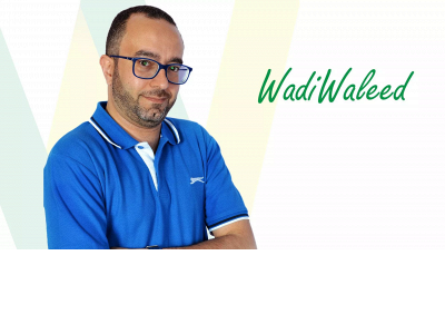 wadiwaleed.com snapshot
