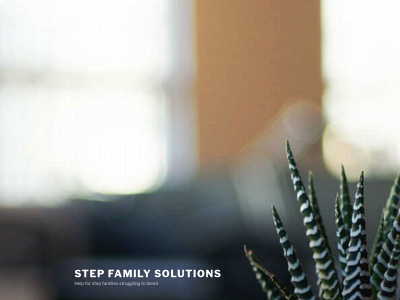 stepfamilysolutions.com snapshot