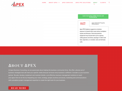 apex-business-consulting.com snapshot