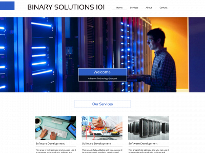 binarysolutions.online snapshot