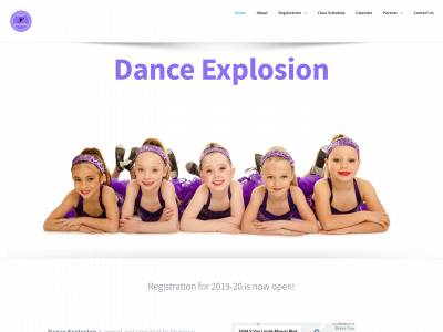 danceexplosionpageland.com snapshot