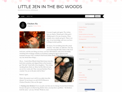 littlejeninthebigwoods.com snapshot