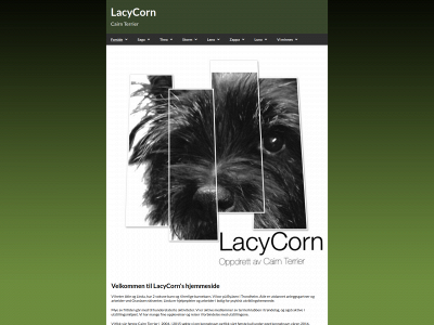 lacycorn.com snapshot