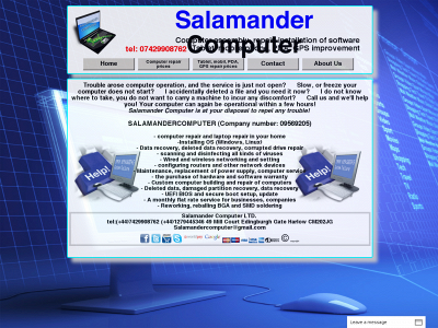 salamandercomputer.com snapshot