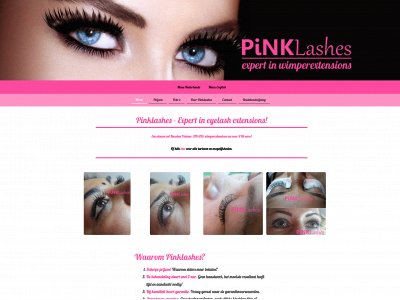 pinklashes.nl snapshot