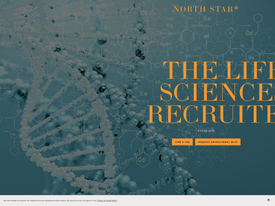 northstarrecruitment.co.uk snapshot
