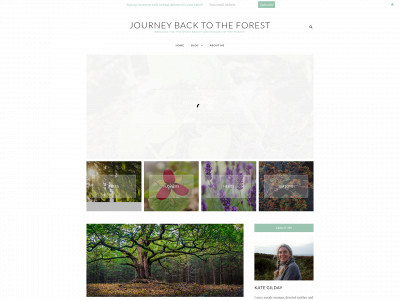 journeybacktotheforest.com snapshot