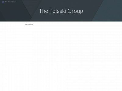 thepolaskigroup.com snapshot