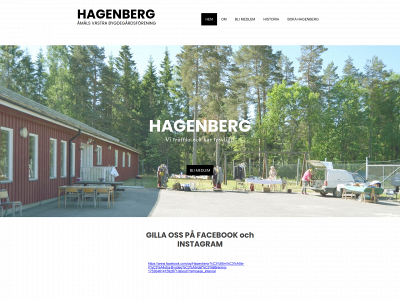hagenberg.se snapshot