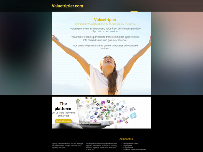 valuetripler.com snapshot