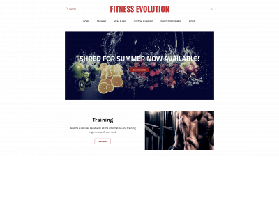 www.fitnessevolutioncompany.com snapshot