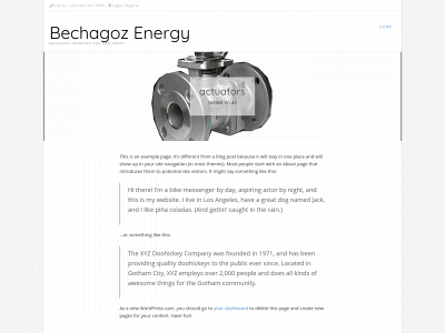 bechagozenergy.com snapshot