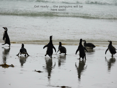 penguinportal.org snapshot
