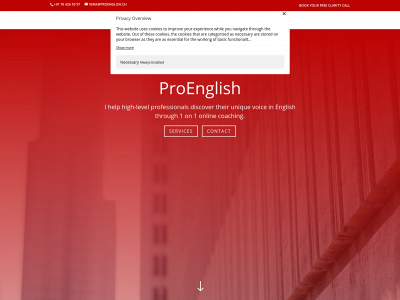 proenglish.ch snapshot