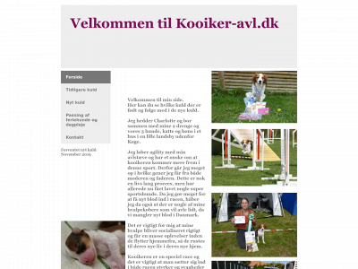 kooiker-avl.dk snapshot