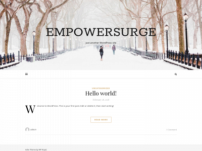empowersurge.com snapshot