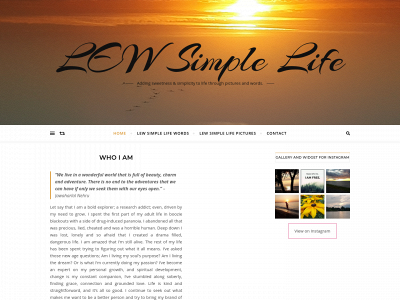 lewsimplelife.com snapshot