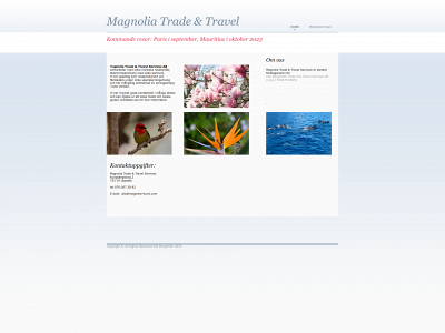 magnolia-tours.com snapshot