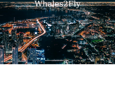 whales2fly.com snapshot