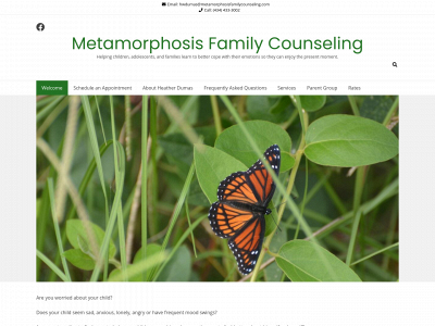 metamorphosisfamilycounseling.com snapshot