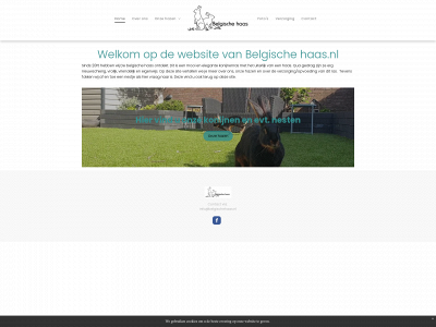 belgischehaas.nl snapshot