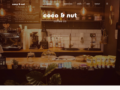thecocoandnut.co.uk snapshot