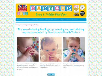 babycup.co.uk snapshot