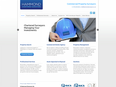 hammondsurveyors.co.uk snapshot