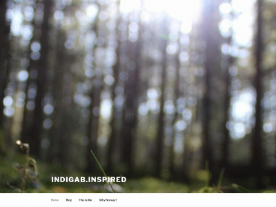 indigab-inspired.com snapshot