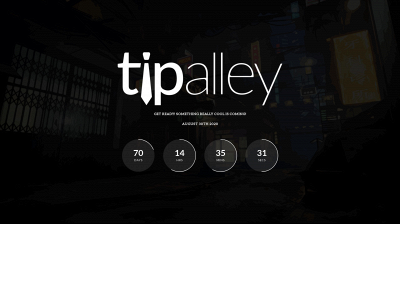 tipalley.com snapshot