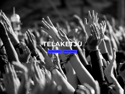 telaketju.com snapshot