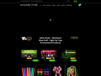 nicaboyne.com snapshot