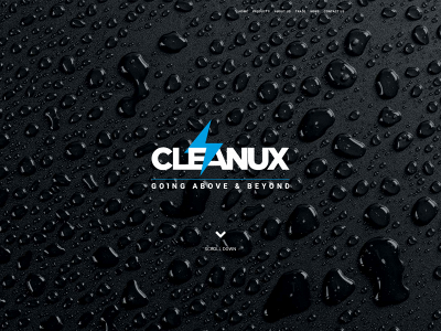 cleanux.co.uk snapshot