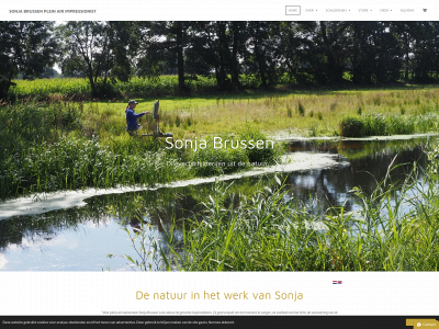 www.sonjabrussen.nl snapshot