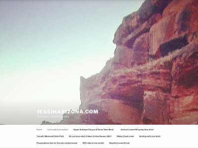 jessinarizona.com snapshot