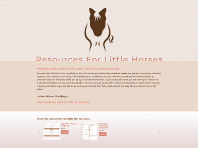 www.resourcesforlittlehorses.com snapshot