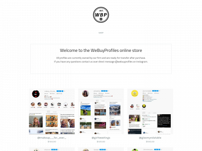 webuyprofilesstore.weebly.com snapshot