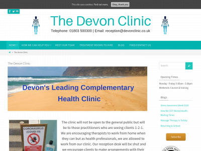 devonclinic.co.uk snapshot