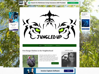 jungledup.com snapshot